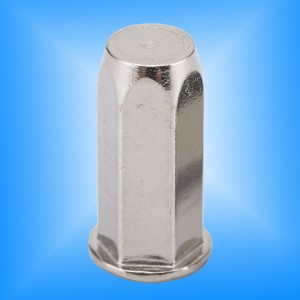 Testa piatta esagonale corpo chiuso fine