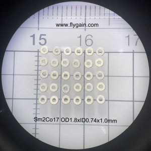 Produttore cinese Micro Precision Magnete piccolo per motore