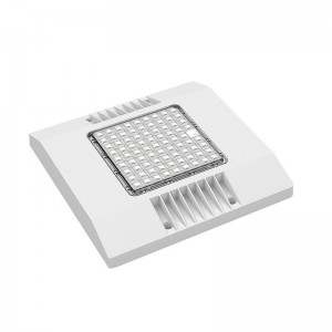 Nuova 150W LED Canopy Light