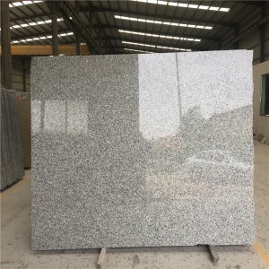 Lastra di granito grigio cigno