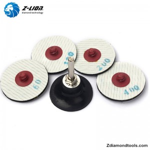 ZL-123ER Tamponi per lucidatura elettrolitici in vetro Roloc da 2 pollici