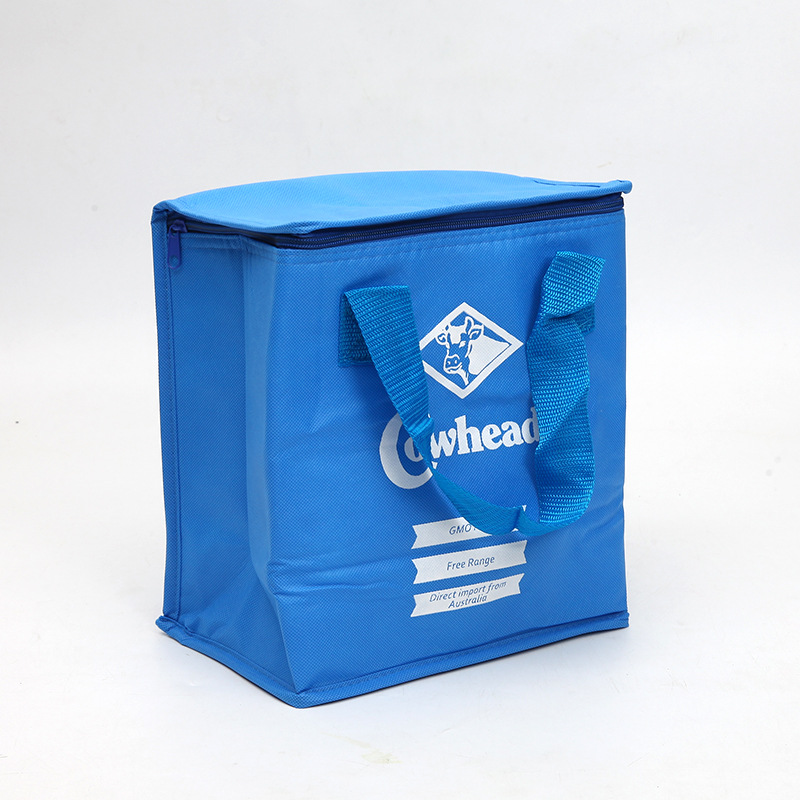 Borsa più fresca isolata riciclabile stampata Tote drogheria logo personalizzato prezzo all'ingrosso promozionale SGC30