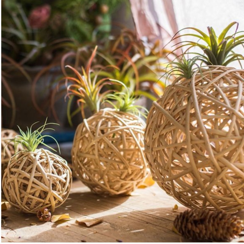 Circle Garniture per Matrimonio