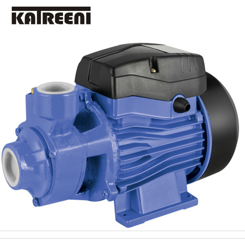 (QB60) Pompa dell'acqua elettrica a vortice a pressione domestica