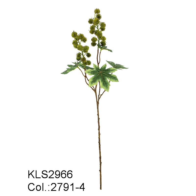 67 cm Ricinus Spray \/ 35 teste