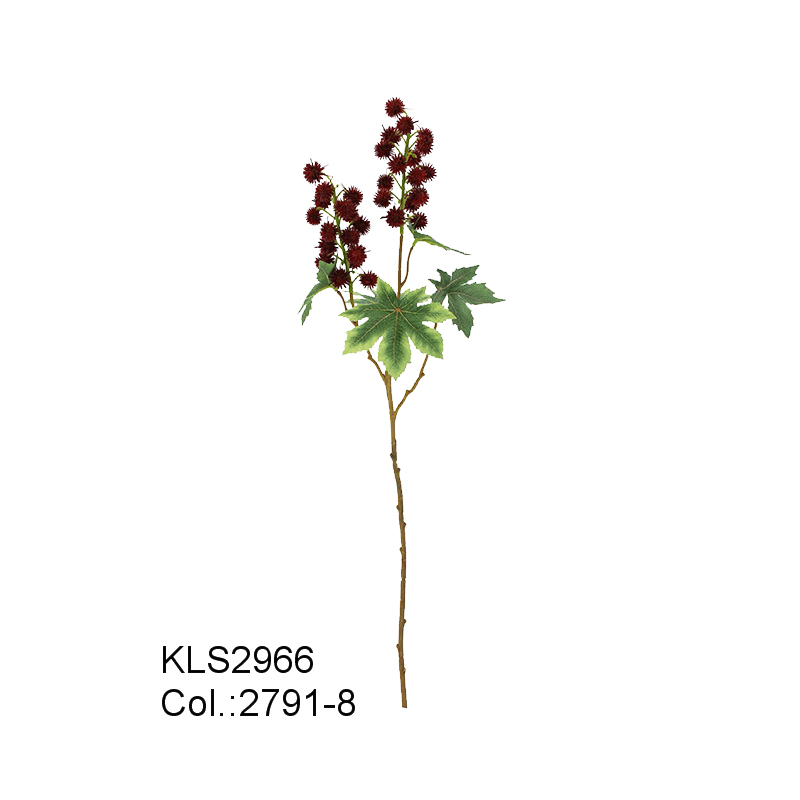 67 cm Ricinus Spray \/ 35 teste