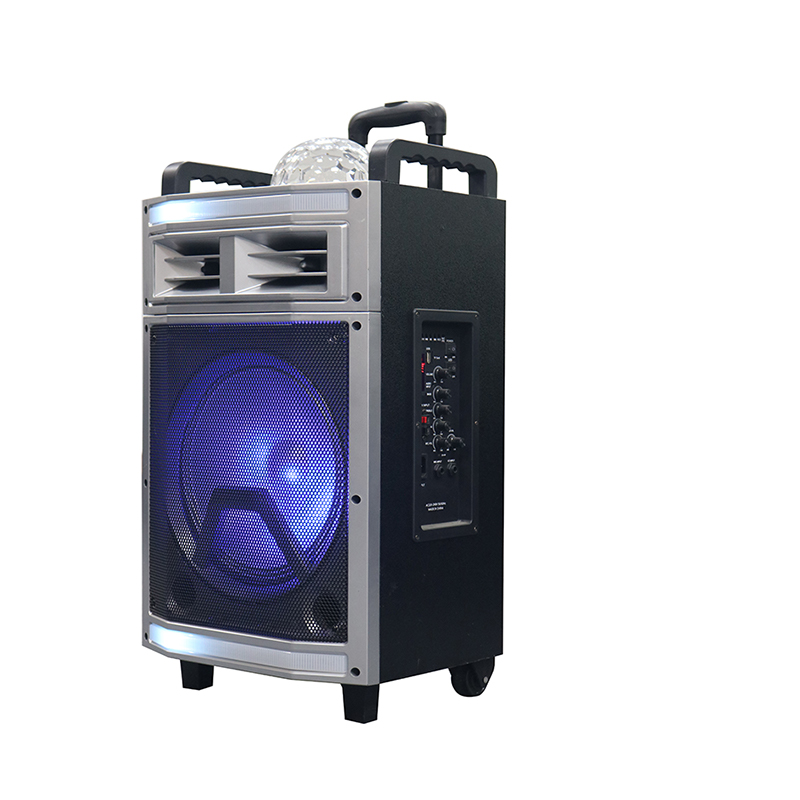 Altoparlante Trollry Y-B22-12H