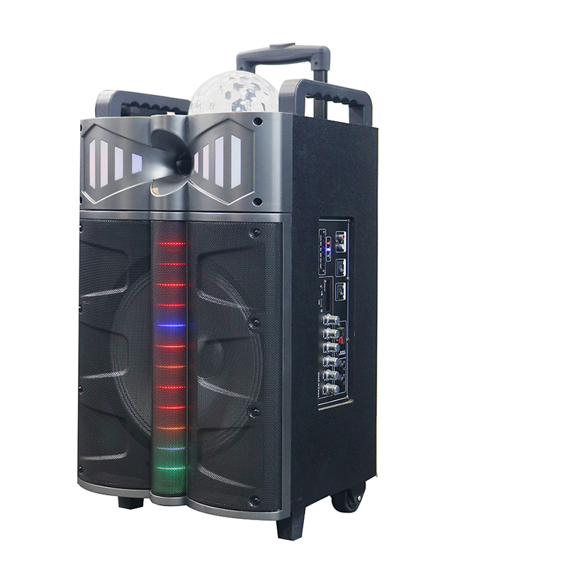 Altoparlante Trollry Y-DJ1201-12H