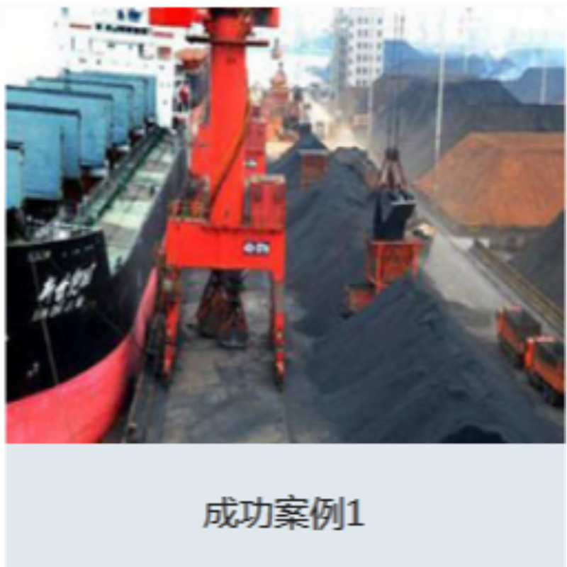 Storia di successo 1