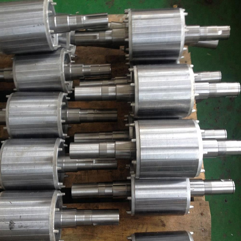 Motorrotore a magnete di neodimio elettrico permanente con alta precisione magnete a rotore di personalizzazione completa per la vendita