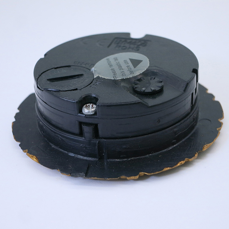 Inserimento dell’orologio dell’ago dell’antica prugna