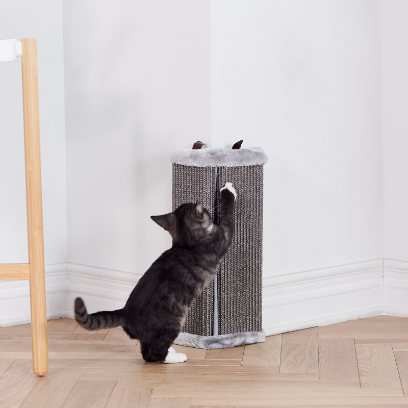 GRAFFIATORI DI GATTI 1