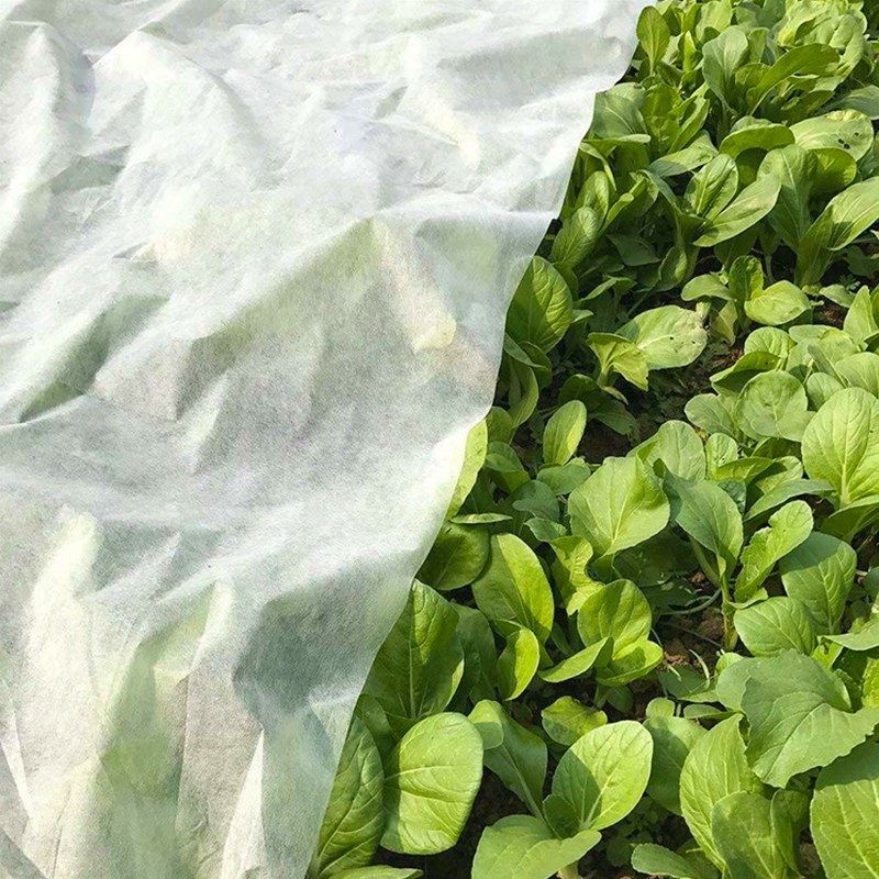 Tessuto non tessuto per borse da coltivazione in geotessile per agricoltura in PP per prodotti da giardino