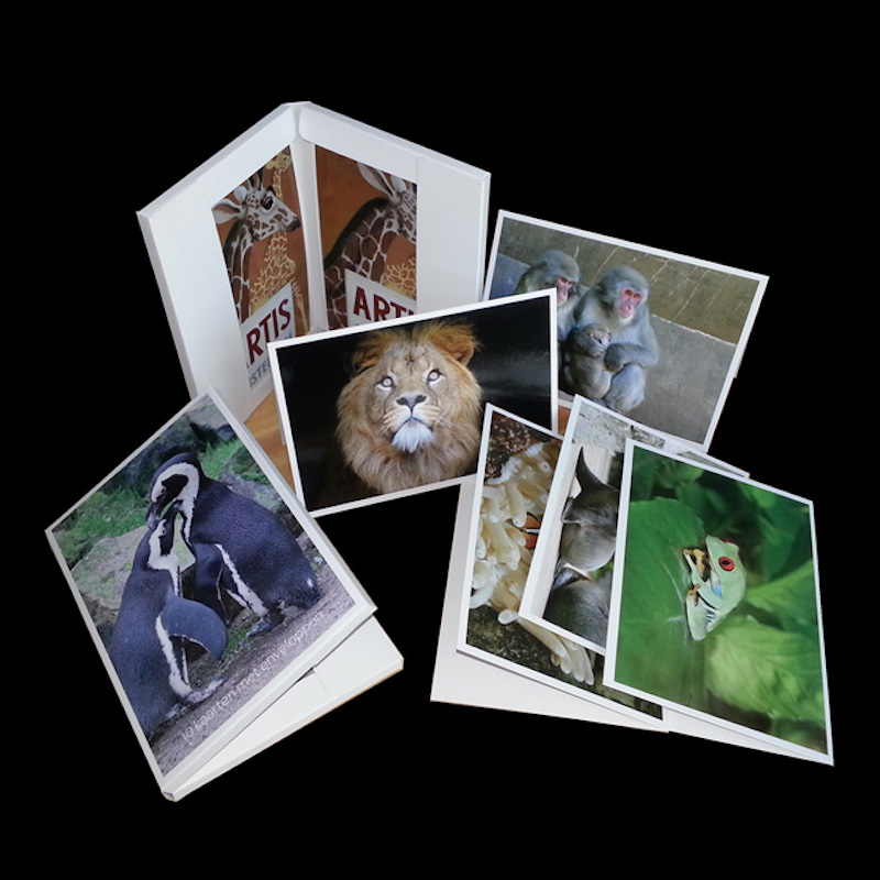 Carta di benvenuto per tutte le occasioni, carta, con buste.Souvenir per Viaggiatori