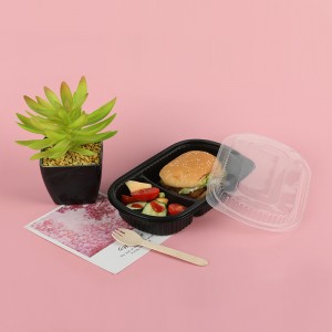Lunch Box 520A