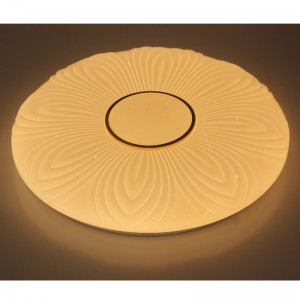 Lampada da soffitto CX204