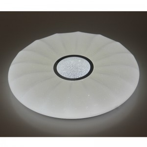 Lampada da soffitto CX205