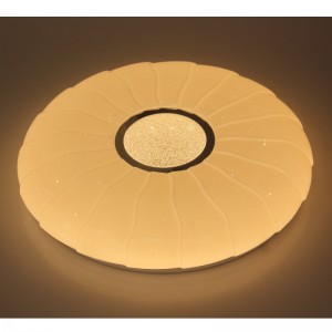Lampada da soffitto CX206