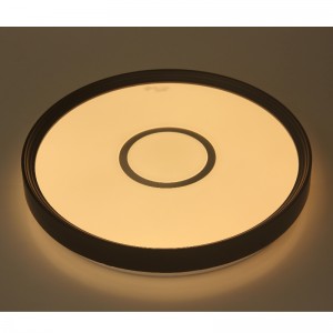 Lampada da soffitto CX231