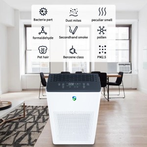 Dual depuratore (depurazione attiva + depurazione passiva)