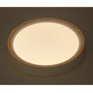 CX280 Luce di soffitto