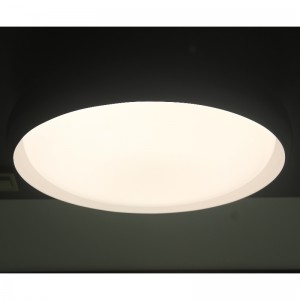 CX284 Luce di soffitto