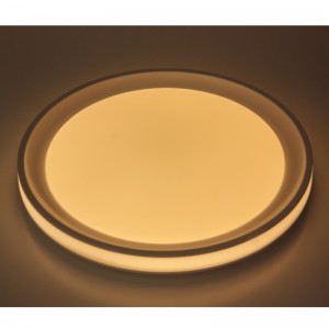 CX295 Luce di soffitto