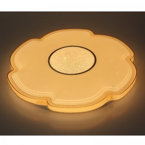 CX311 Luce di soffitto