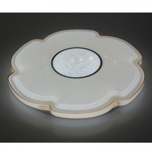 CX311 Luce di soffitto