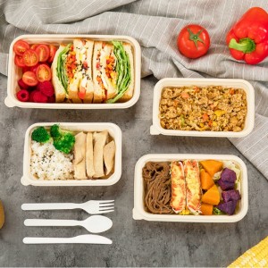 Contenitori per alimenti monouso compostabili ecologici di forma quadrata contenitori per alimenti biodegradabili da asporto di amido di mais