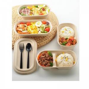 Scatole ovali da asporto per fast food contenitori per alimenti in bagassa biodegradabile con coperchio trasparente