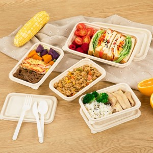 Eco friendly BPA gratuito di bento da pranzo da asporto scatola di imballaggio biodegradabile contenitore per alimenti