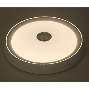 MU108 Luce di soffitto