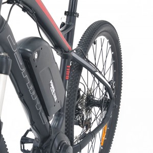 EBIKE S6-Z2