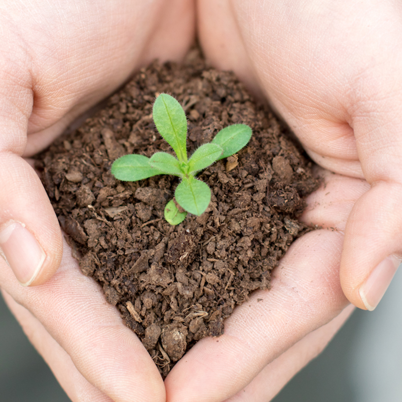 L\'eccellente prodotto2.