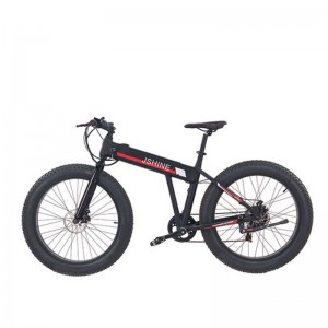 EBIKE S2-X1