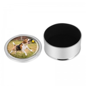 Urna in metallo per ceneri di cane