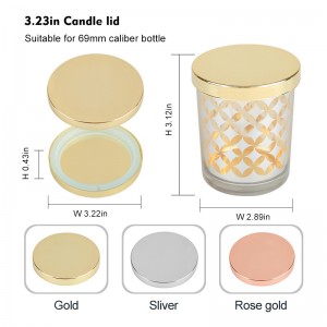 Il giaguaro è un animale in pericolo di estinzione