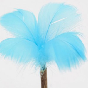 Lecca-lecca bicchiere di menta gatto