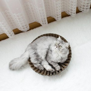 Nido del graffio del gatto della carta del girasole