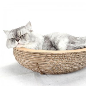 Nido del graffio del graffio della ciotola del gatto della carta