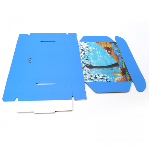 Packaging della scarpa di sottoscrizione di Tuck Stampa di carta ondulata colorata Carta ondulata BLU BLU di logo personalizzato BOX