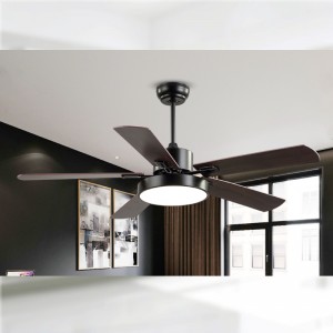 Fan Light fl z BS5671C 42