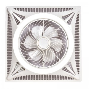 Fan light fl a wtbg40 598
