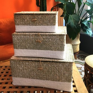 Scatola intrecciata alga con stoccaggio coperto