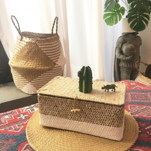 Scatola intrecciata alga con stoccaggio coperto