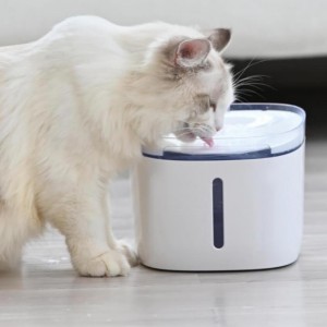 Fontana automatica intelligente dell\'acqua