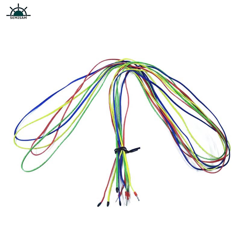 Produttore originale personalizzato 1K 10K 100K Ohm B 3950 1% Precisione NTC Sensore di temperatura termistor per macchina di stampa 3D