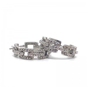 Orecchini zirconi in acciaio inox di moda europei e americani (non svanire)