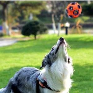 Giocattoli per cani galleggianti a LED